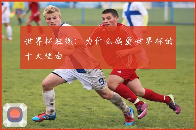 世界杯狂热:为什么我爱世界杯的十大理由